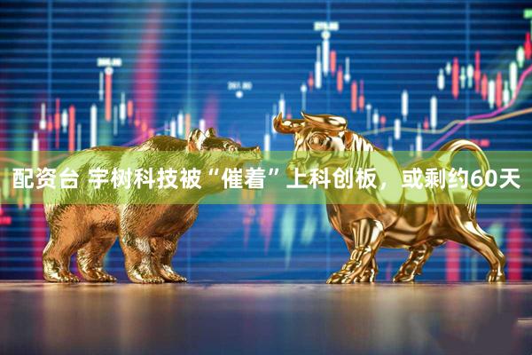 配资台 宇树科技被“催着”上科创板，或剩约60天