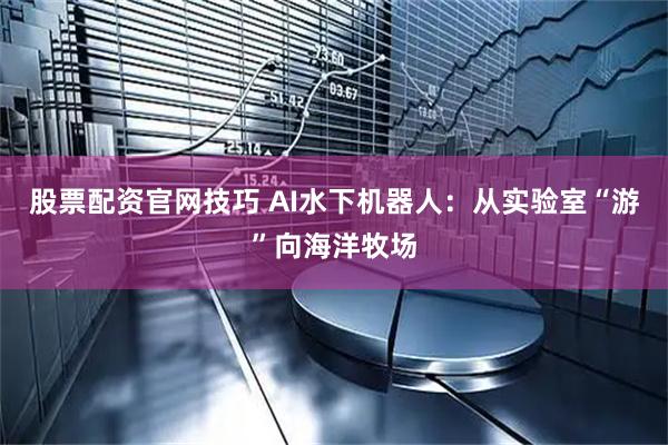 股票配资官网技巧 AI水下机器人：从实验室“游”向海洋牧场